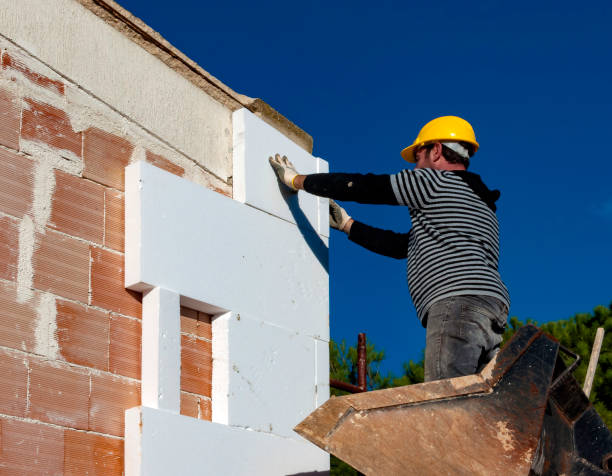 Best Geographic-Specific Insulation Services in Affton, MO