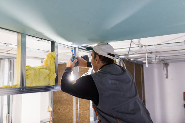 Best Cellulose Insulation in Affton, MO