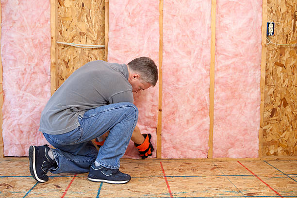 Best Geographic-Specific Insulation Services in Affton, MO